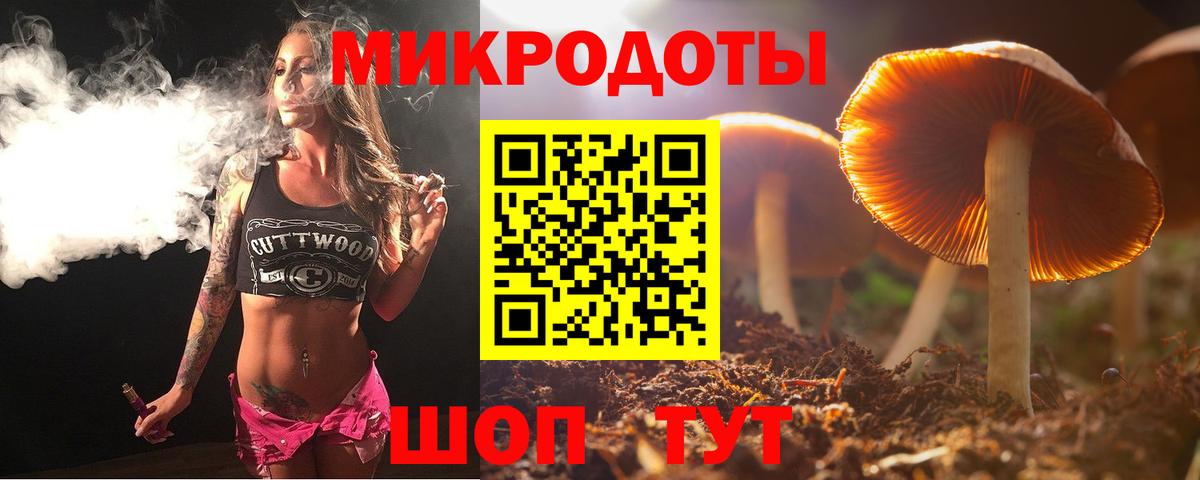 Новодвинск  Псилоцибиновые грибы Magic Shrooms  Псилоцибиновые грибы Psilocybine cubensis  Вход с VPN 
