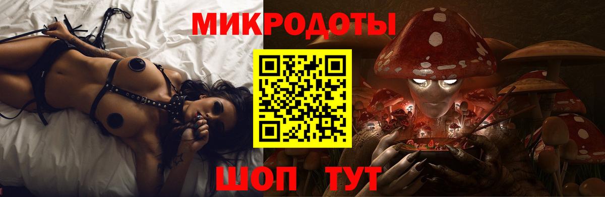 Галлюциногенные грибы Magic Shrooms Новодвинск