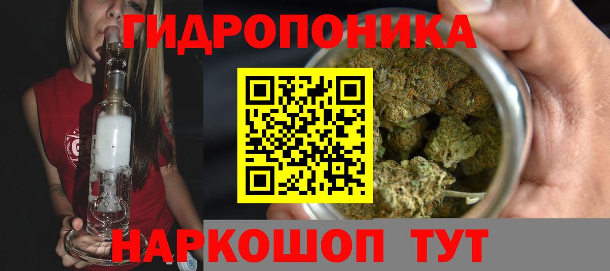 Каннабис индика  Вход с VPN  Новодвинск  Бошки марихуана LSD WEED  Канабис LSD WEED  МАРИХУАНА тримм 